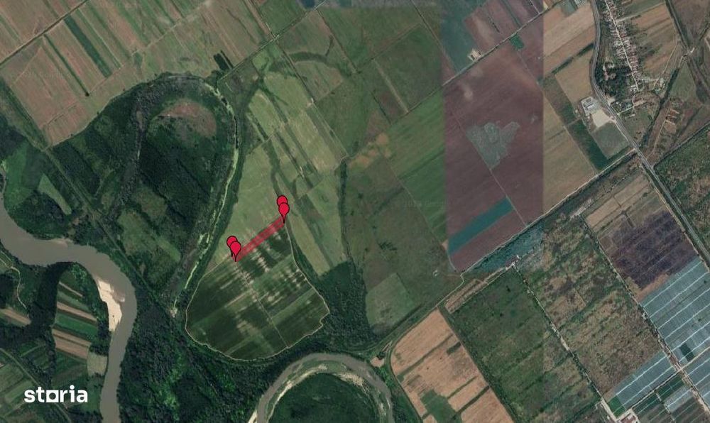 Teren extravilan Cotofanii din Fata 12,500 mp, Dolj - 3001407