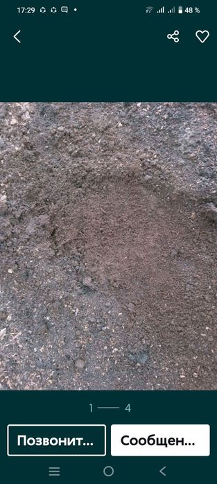 Gong mol va qoʻy gonglari