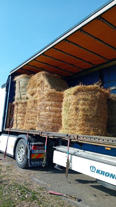 Baloti fan sau lucerna min.40 Rotunzi.500 drept.La TIR Ferma de dat pe servicii Capre Vaci Oi Porci

Livram doar la TIR 
Cate 20 40 baloti Lucerna rot