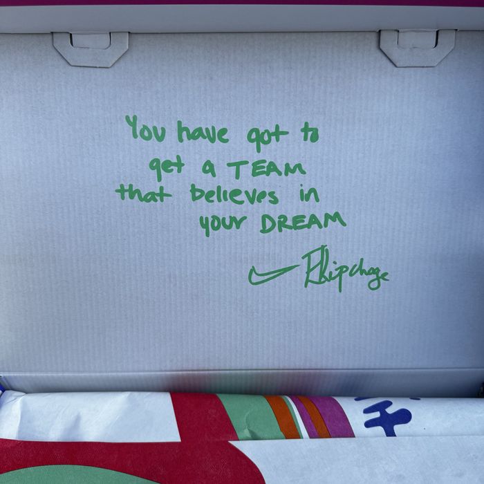 НОВИ Nike Air Zoom Pegasus 41 Eliud Kipchoge Limited Edition