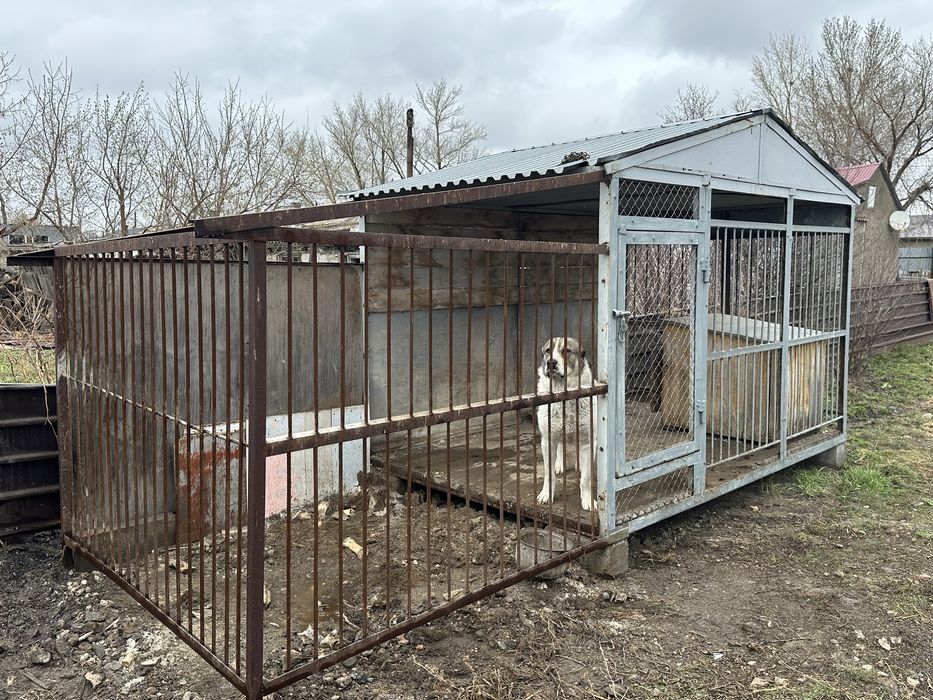 Продаю вольер в месте алабая