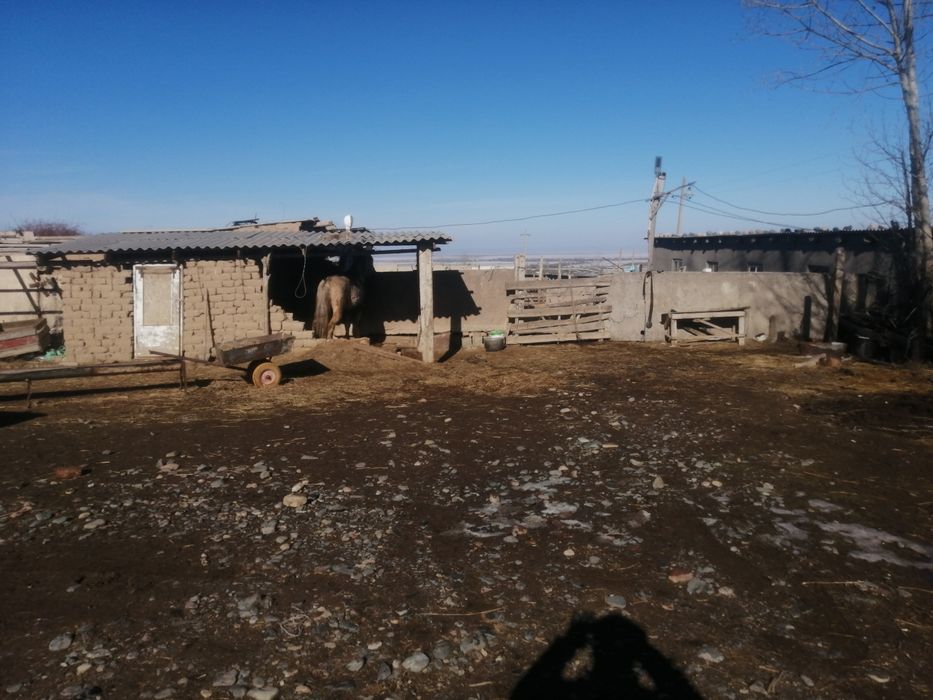 Продается Фазенда