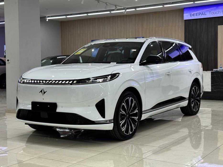 Dongfeng 008 Max pod zakaz