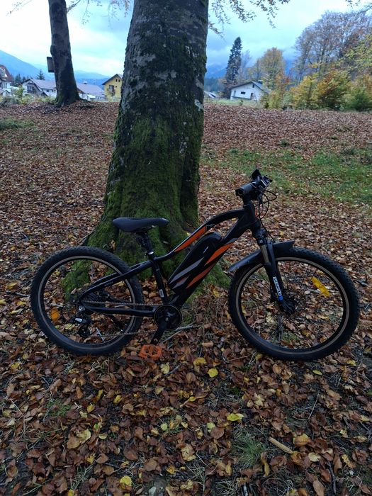 bicicleta Blaunpunkt Prophete 51721
