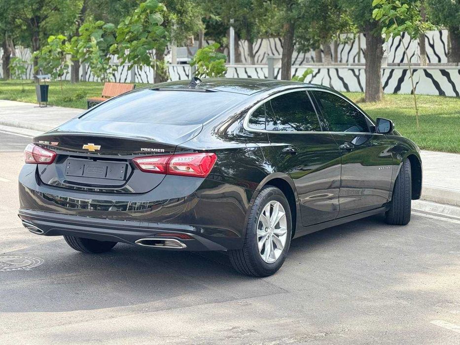 Малибу -2 Премиер кора 2022й краска тозза