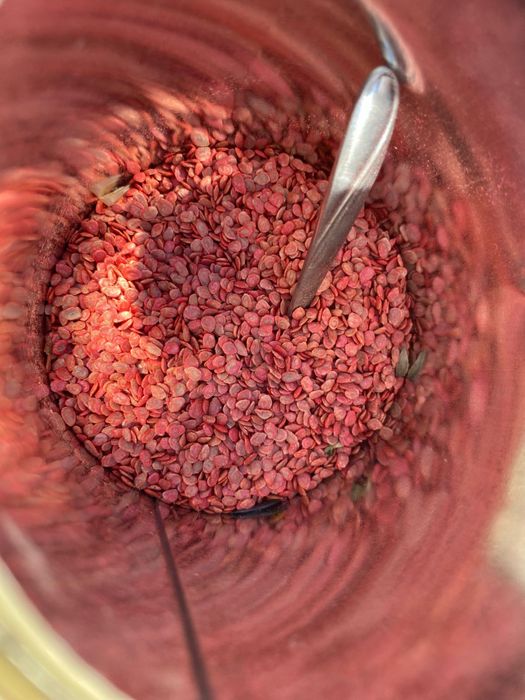 Семена Разного Вида Все Сорты имеются