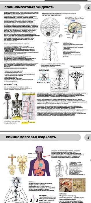 Книга мудрости в пдф