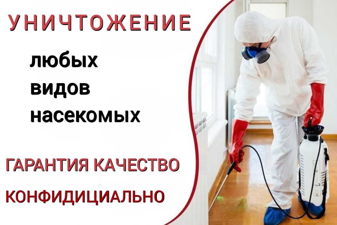 Уничтожение насекомых в квартире