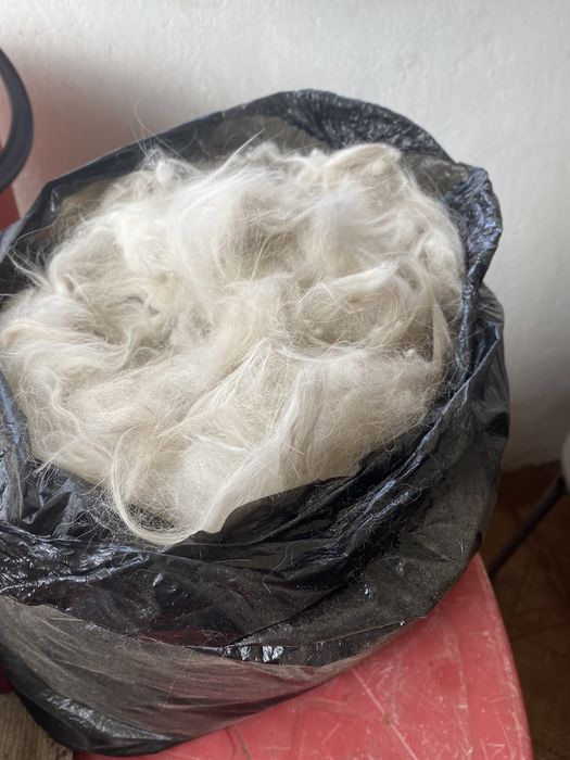 Собачий пух, шерсть