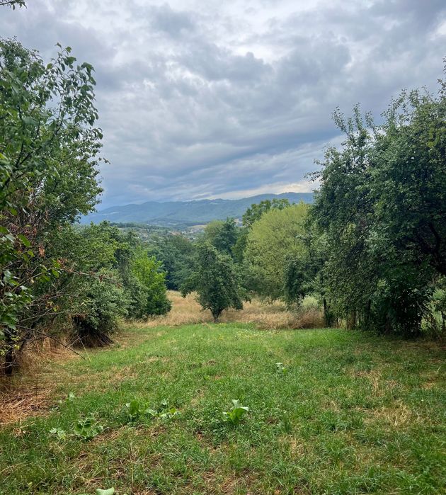 Teren Cerbureni Arges