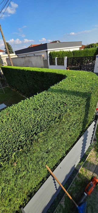 Извършване на озеленителни и почистващи услуги