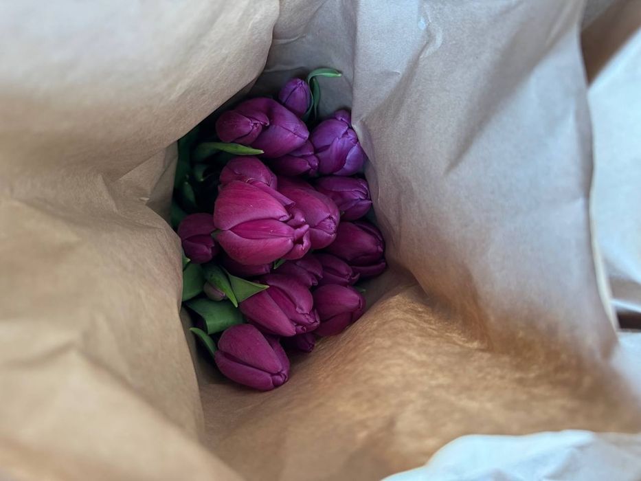 Продам тюльпаны оптом или Розничный