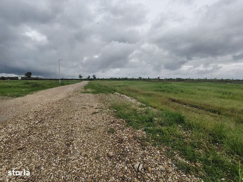 Teren intravilan - 860 mp - Deschidere 20 mp - Eforest - Crevedia