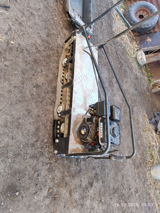 В продаже мото собака