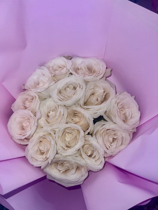 Продаю цветы каждая 10