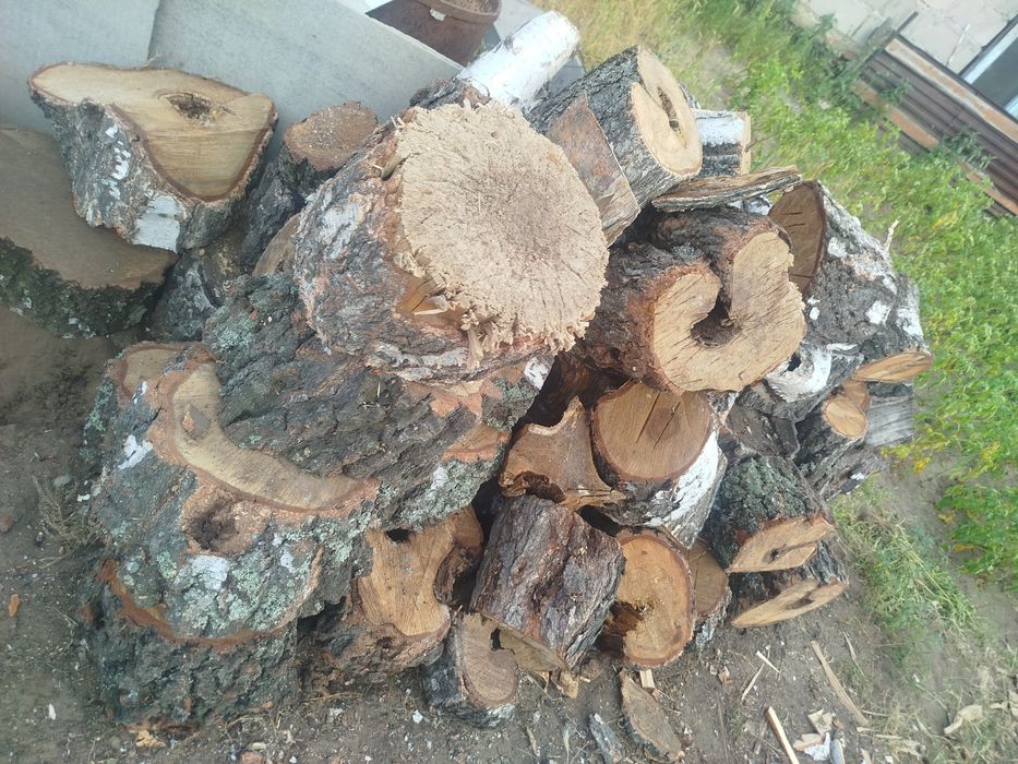 Продам швырок(самовывоз)