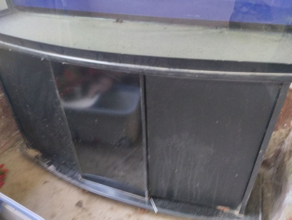 Akvarium 250 litrlik