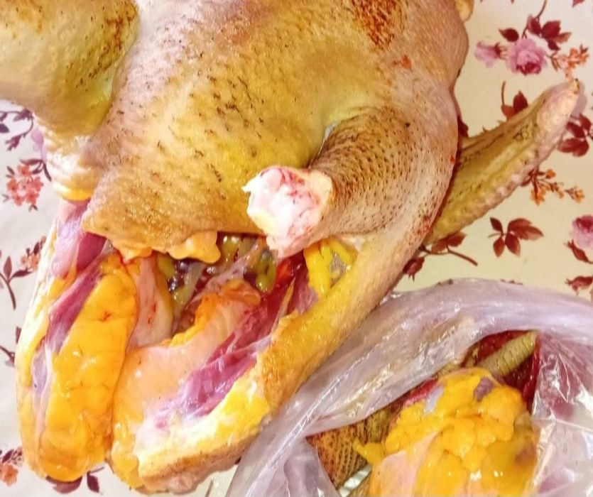 Pui albi de carne și găini albe de carne