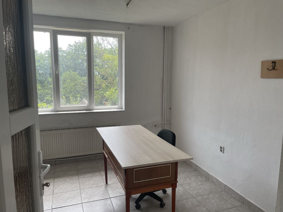 Dau in chirie spatiu comercial