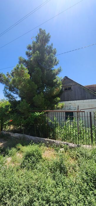 Продаётся дачный участок