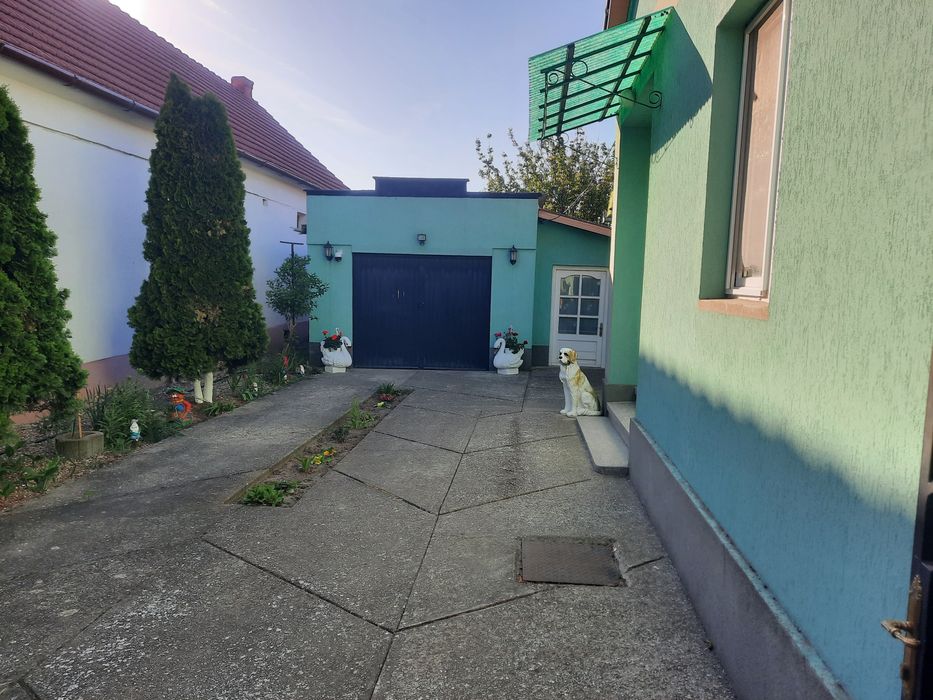 Casă de vanzare în Sântana