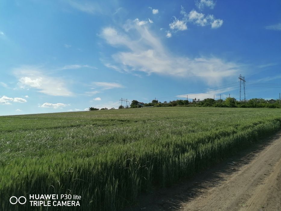 Продава се Парцел в Българово - 3000 кв.м за 6 €/кв.м - Снимка #7