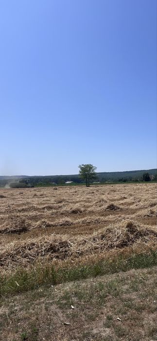 Vand ORZ productie 2025.