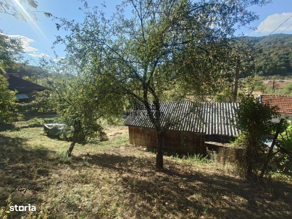 Casa si Teren Criscior