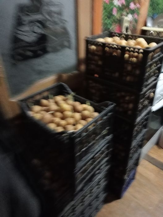 Продам картофель