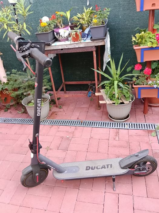 Trotineta Ducati