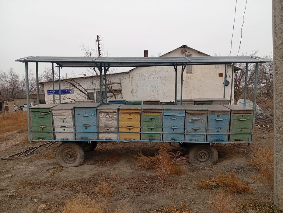 Прицеп для Пасики