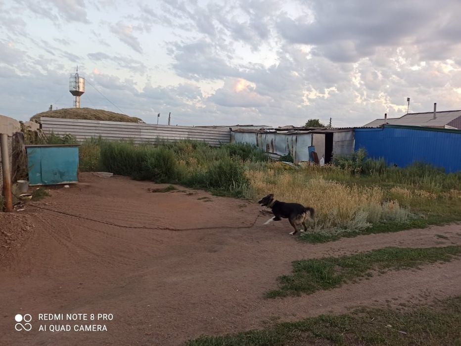 Продам дом на два хозяина