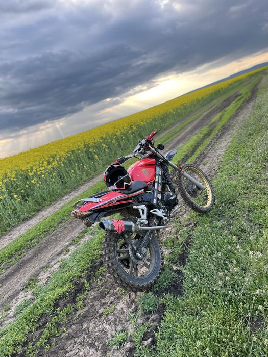 Cross de 250 cc.