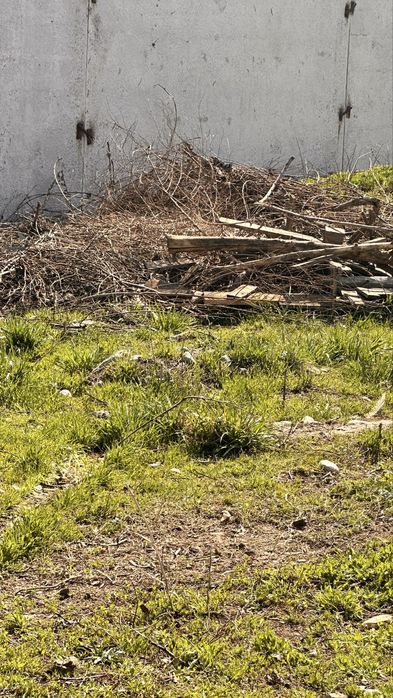 Дрова бесплатно