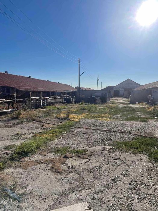 Продава се Промишлена сграда в с. Радишево, Област Плевен - 32000 кв.м за 0 €/кв.м - Снимка #9