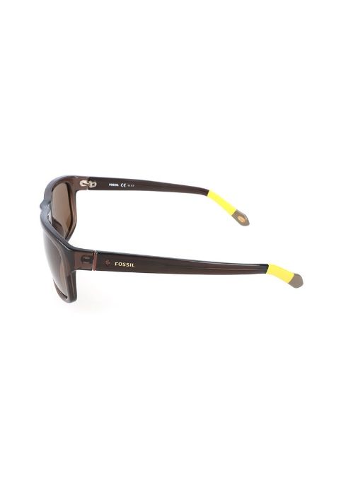 Fossil Polarized