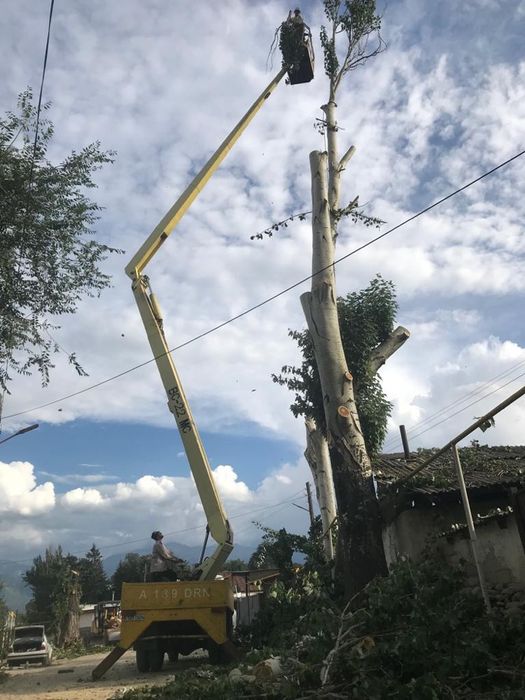 Спил деревьев любой сложности