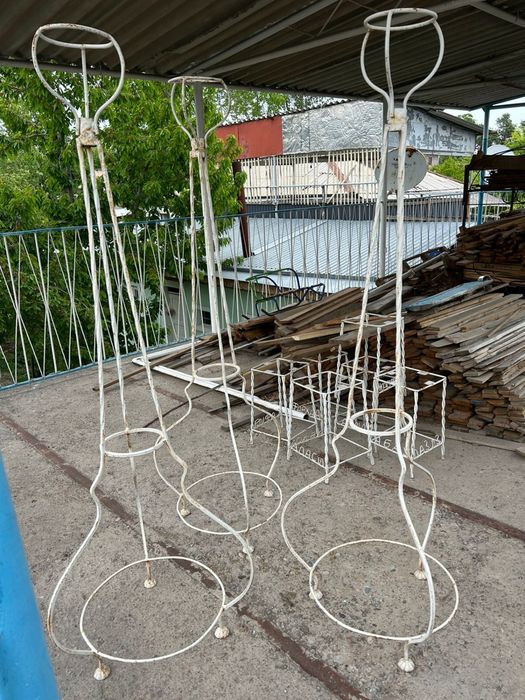 Подцветники садовые