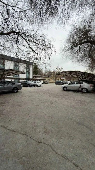 Аренда офис Вебстер университет Шайхонтохур район