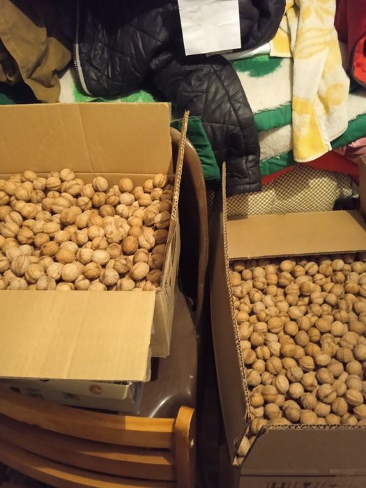 Орехи натуральные Джамбульские