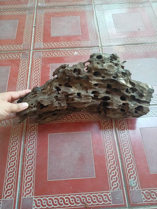 Karyaga hitoydan kegan