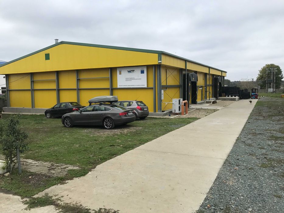 Fabrica de procesare peste si crustacee - Proprietatea Imobiliară Industrială situată în Loc. 23 August Jud. Constanta