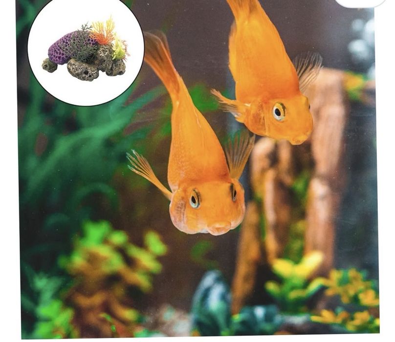 Декор за аквариум