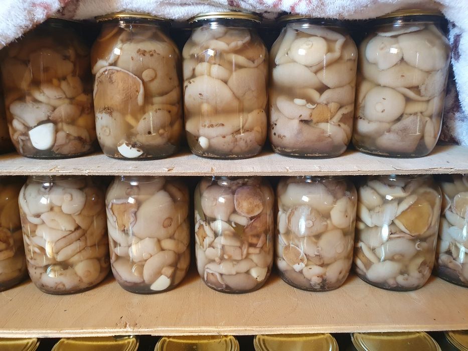 Грибы Маслята маринованные