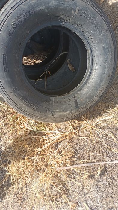 Продам  диски на  6 и на 8 шпилек птс 4