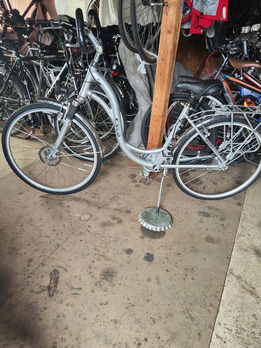 Biciclete Olanda