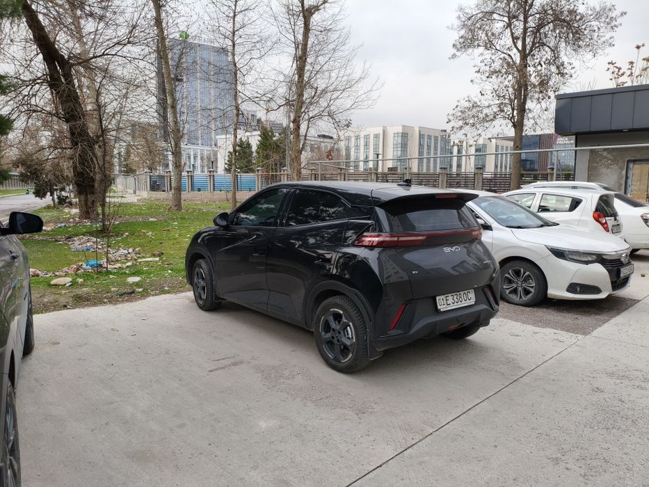 Byd seagull  официальный 2024-25