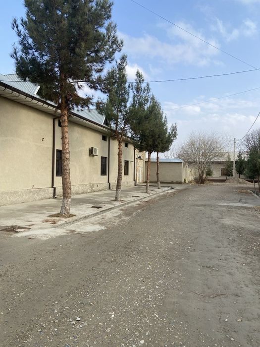 Uchastka sotiladi Evro remot qilingan.  Hfyfyftcfyxtxrfchvh