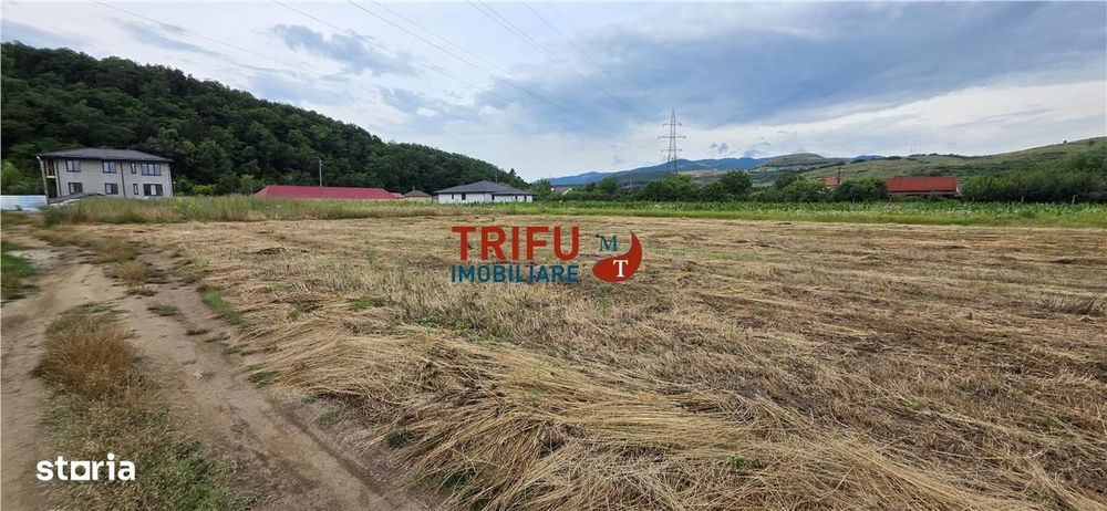 Teren de vanzare in Sard cu suprafata de 1374 mp