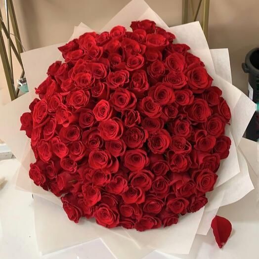 Продам 101 красных роз.